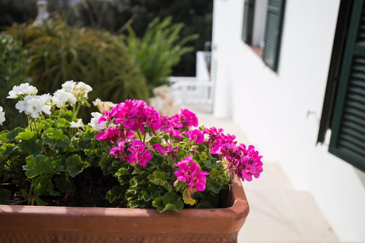 Apartamentos Gama Cala Galdana  Extérieur photo